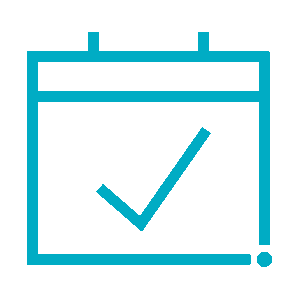 Audit Program icon