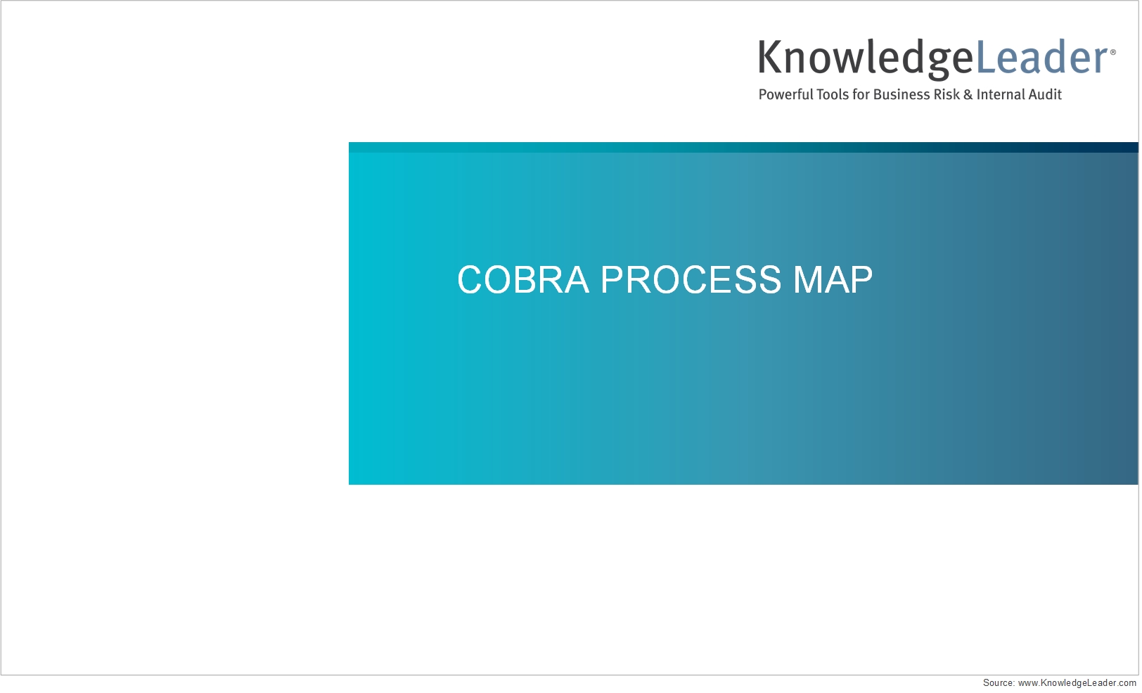 Screenshot of the first page of COBRA Process Flow