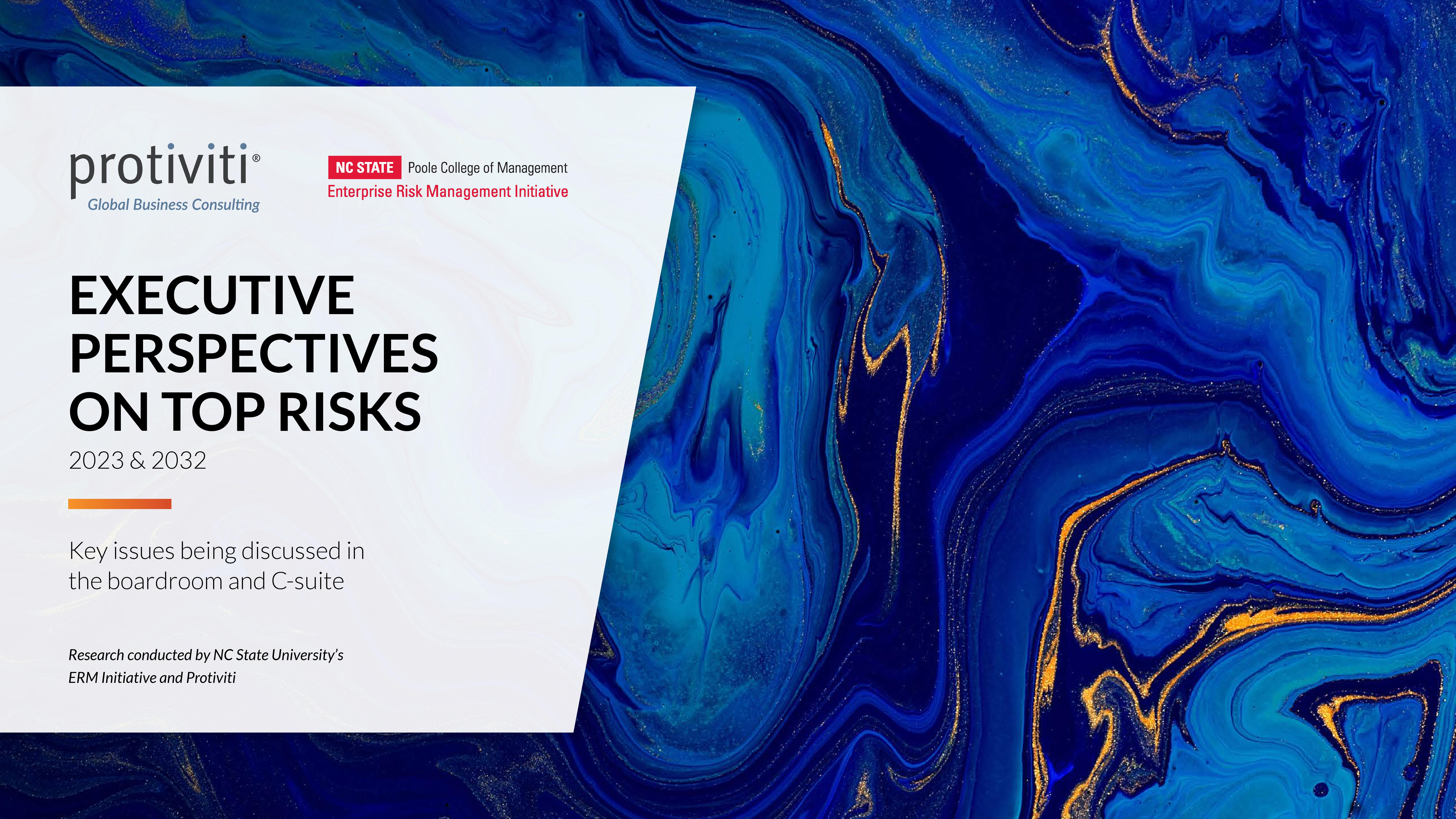 Screenshot of the first page of Exective Prospectives on top Risks 2023-2032