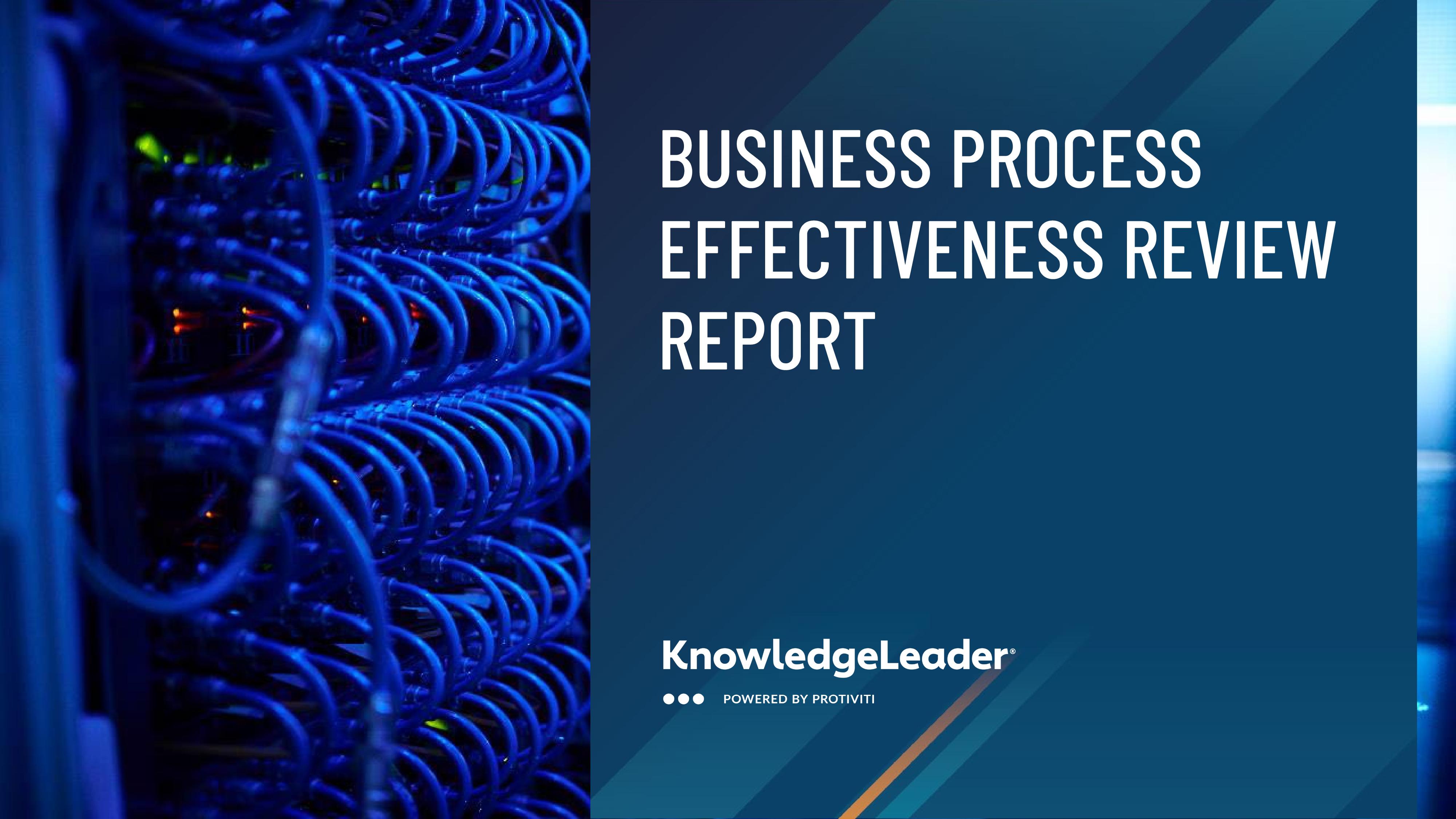 screenshot of the first page of Business Process Effectiveness Review Report