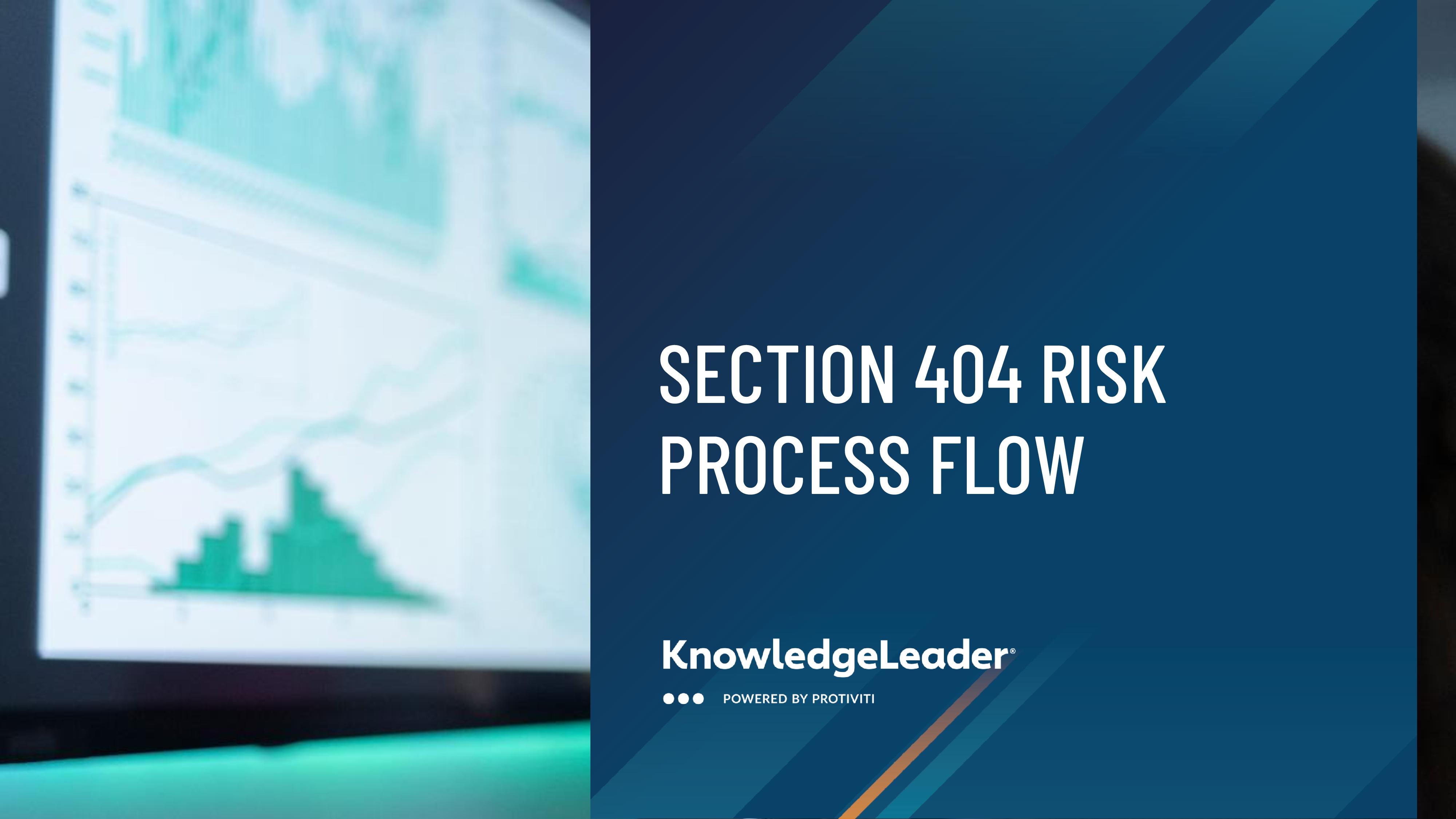 Screenshot of the first page of Section 404 Risk Process Flow
