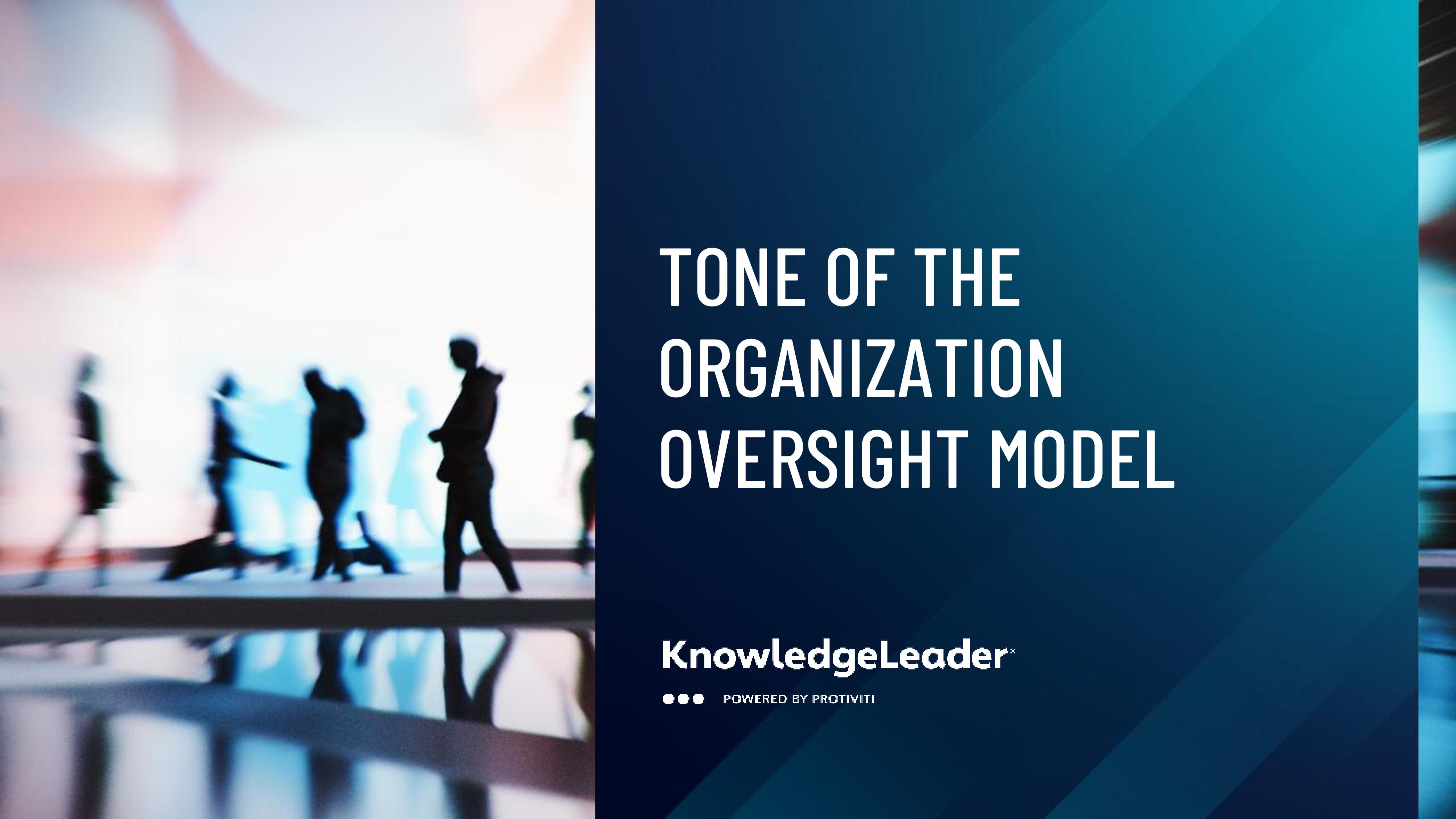 screenshot of the first page of Tone of the Organization Model