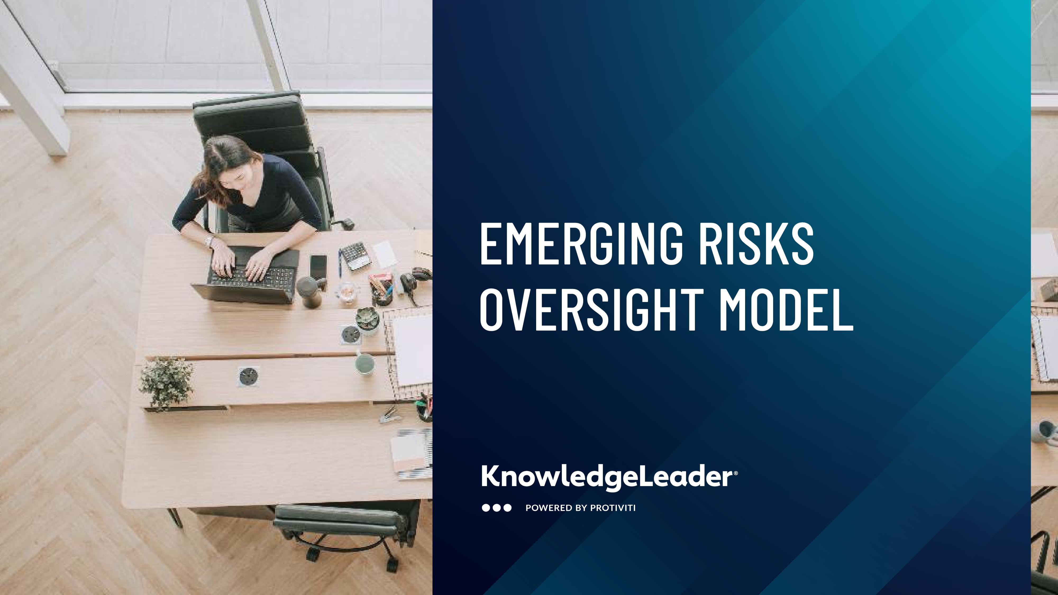 Emerging Risks Oversight Model