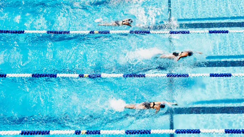 image of people swimming