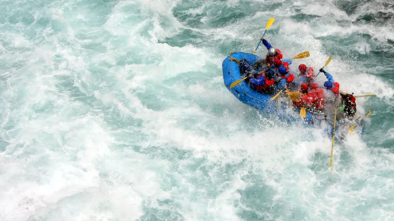 What is Organizational Alignment Risk