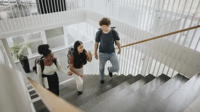 Image of people climbing the stairs
