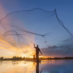image of a man looking in the sky
