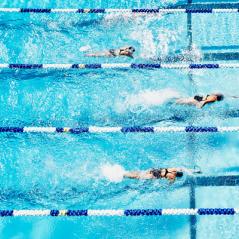 image of people swimming