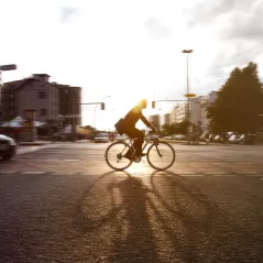 Coso ERM Framework Key Facts You Need To Know