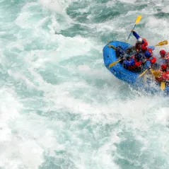 What is Organizational Alignment Risk