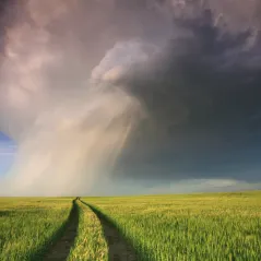 image of grass and sky