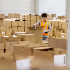 image of segregation of duties