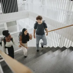 Image of people climbing the stairs