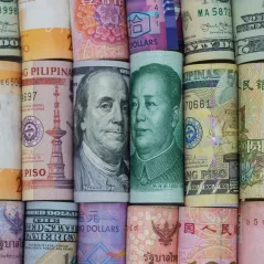 image of rolled up dollar bills